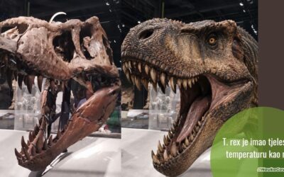 T. rex imao temperaturu poput čovjeka: naučnici prvi put izmjerili tjelesnu temperaturu dinosaurusa