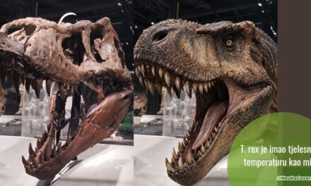 T. rex imao temperaturu poput čovjeka: naučnici prvi put izmjerili tjelesnu temperaturu dinosaurusa
