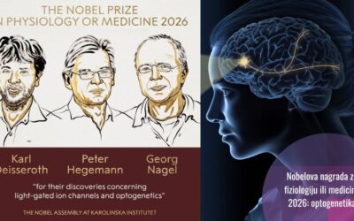 Nobelova nagrada fiziologija ili medicina 2026: za optogenetiku – svjetlost koja upravlja nervnim ćelijama