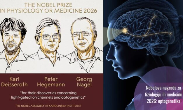 Nobelova nagrada fiziologija ili medicina 2026: za optogenetiku – svjetlost koja upravlja nervnim ćelijama