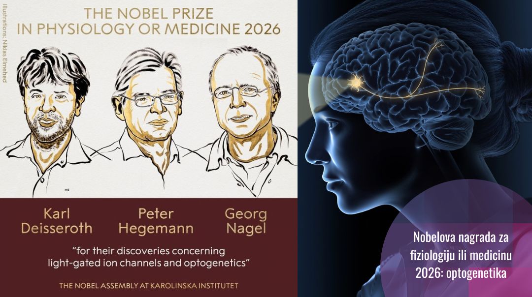 Nobelova nagrada fiziologija ili medicina 2026: za optogenetiku – svjetlost koja upravlja nervnim ćelijama