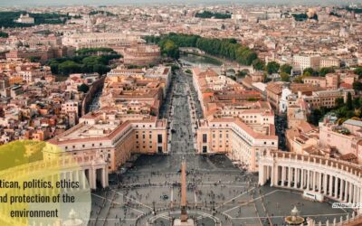 Vatican: Destruction of nature is a “sin against creation and the Creator”